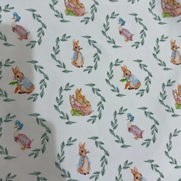 Magnolia Steel by HCS Peter Rabbit Two-Piece Lounge Set 2T - Picture 4 of 8